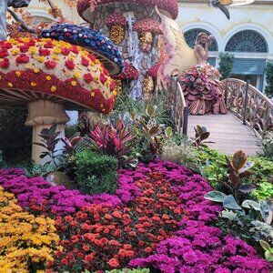 Meet your Posher, Lorena